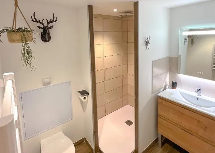 Le Repere Du Cerf T2 Royal Milan St Lary Soulan 圣拉里苏朗